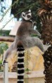 /album/zoo/img-9791-2-jpg/